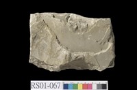 藏品(砂岩)的圖片